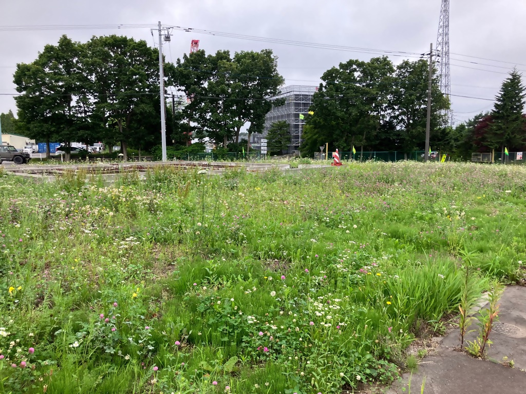 千歳流通業務団地No.35
